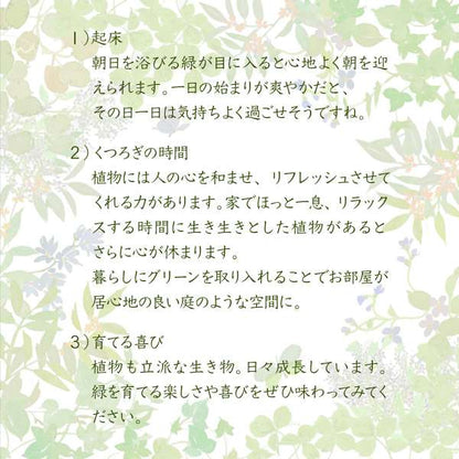 ボタニカル花台鉢置き台ラック3段フラワースタンド古材ガラスシャビ―観葉植物インテリア幅60奥行30高さ100オープンシェルフ木製飾り棚