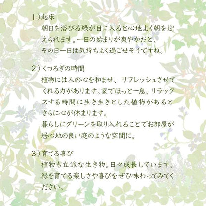 グリーンのある暮らしテレビ台ガラス古材インテリア40インチグリーンシャビー多肉植物ラックおしゃれ鉢置き台一人暮らしテレビボードロータイプ