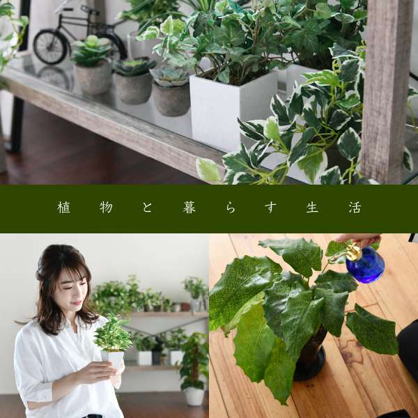 グリーンインテリアスタンドミラー姿見ガラスインテリアグリーン観葉植物シャビー多肉植物棚ラックおしゃれシンプル一人暮らし木製古材