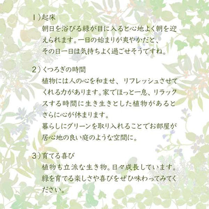 グリーンインテリアスタンドミラー姿見ガラスインテリアグリーン観葉植物シャビー多肉植物棚ラックおしゃれシンプル一人暮らし木製古材