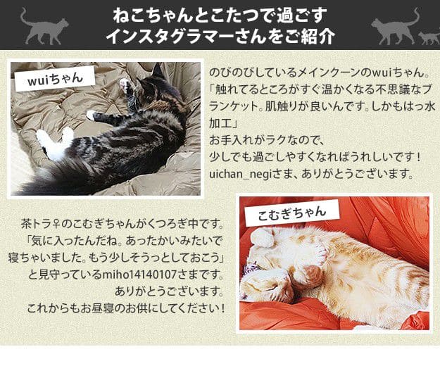 こたつテーブルロー正方形木目一人用スリム木製ヴィンテージフラットヒーター省スペース低いリビング2点セット80×80おしゃれローテーブル一人暮らしコタツ丈夫パソコン天板家具調格安勉強机座卓
