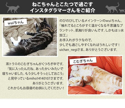 こたつテーブルロー正方形木目一人用スリム木製ヴィンテージフラットヒーター省スペース低いリビング2点セット80×80おしゃれローテーブル一人暮らしコタツ丈夫パソコン天板家具調格安勉強机座卓
