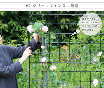 アイアンフェンス高さ75「グラフ」4枚組【送料無料フェンスアイアンガーデンフェンスガーデニング枠柵仕切り目隠し境目クラシカルアンティーク格子ベランダつる薔薇バラ朝顔園芸ラティスつるバラ庭誘引屋外】