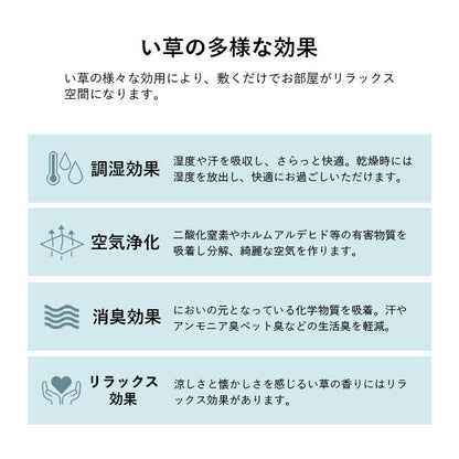 カーペットい草