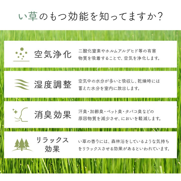 玄関マット室内大きい夏用北欧6090風水北西東南い草マット柄天然素材玄関屋内おしゃれ60×90滑り止めエントランスマットラグ日本製高級国産薄型夏大きいサイズ開運運気大判室内用カーペット長方形自然素材抗菌防臭消臭ずれない
