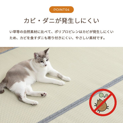 カーペットござ