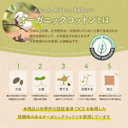 座布団クッションロング洗える厚め折りたたみ長座布団大きい長い横長長方形綿ソファ車おしゃれ床ごろ寝シートダイニングコンパクトかわいい読書パソコンお昼寝寝れるソファー本リビング寝