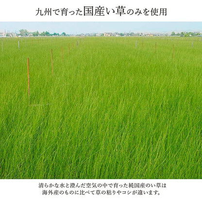 い草カーペットい草ラグ4畳国産上敷きい草カーペットラグいぐさ畳夏用日本製おしゃれ抗菌防臭サイズ四畳夏長方形ござ上敷き畳190×300ラグマットカバー拭けるペットオールシーズン通年涼しい