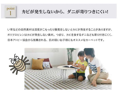 ラグカーペット3畳撥水洗える防ダニおしゃれ日本製い草風ボーダー4畳ペット長方形絨毯ラグマット175×230