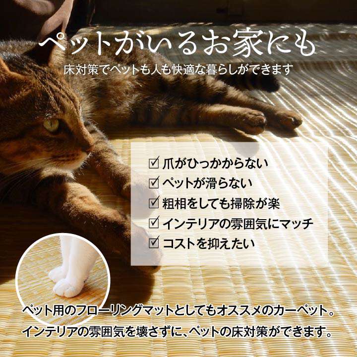 ラグカーペット3畳撥水洗える防ダニおしゃれ日本製い草風4畳ペット長方形絨毯ラグマット190×285