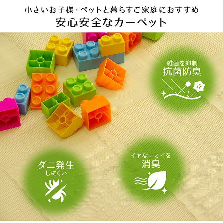 ラグ
