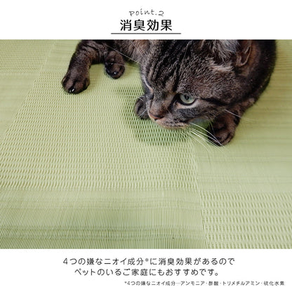 ラグ