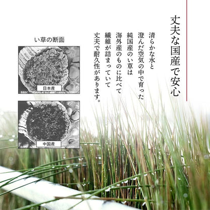 座布団クッション和風業務用厚手大きめ座る用四角正方形おしゃれ和ふかふか厚い疲れない大きいアジアン5枚セット55×55