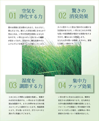 座布団クッション和風業務用厚手大きめ座る用四角正方形おしゃれ和ウレタン厚い疲れない大きいアジアン5枚セット55×55