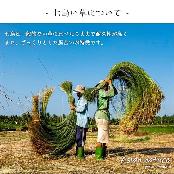 草履雪駄サンダルい草メンズ畳夏和装男和風室内外履きおしゃれevaコスプレ畳表男性用和柄普段履き痛くない大きい男物ｌサイズ痛くない夏用蒸れない丈夫室内履き幅広滑らない井草健康