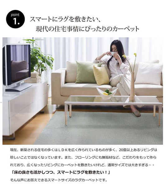 ラグカーペット3畳洗える6畳絨毯無地おしゃれラグマット洗濯防音滑り止め長方形格安シンプル140×240