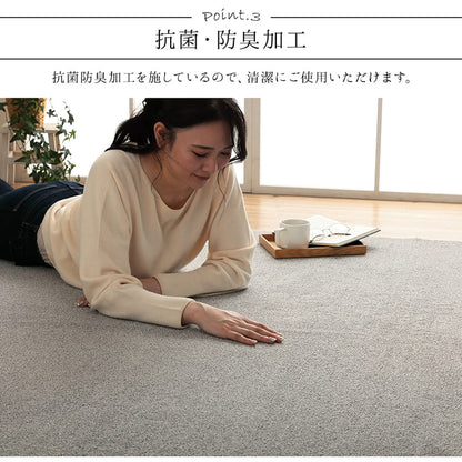 ラグ