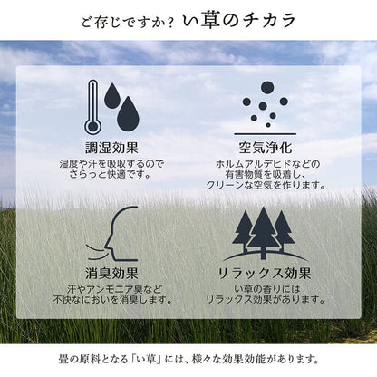 い草ラグ4畳半本間い草カーペット国産上敷きい草カーペットラグいぐさ畳夏用日本製おしゃれ抗菌防臭サイズ四畳半夏正方形ござ上敷き畳ラグマットカバー拭けるペットオールシーズン通年涼しい