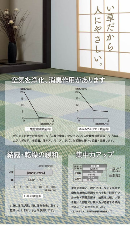 い草ラグい草ラグ2畳本間上敷きい草カーペットカーペットいぐさ畳夏用おしゃれ絨毯抗菌防臭サイズ二畳夏正方形リバーシブルござ防カビラグマットカバー拭けるペットオールシーズン涼しいじゅうたん激安安い夏用ラグ夏用カーペット
