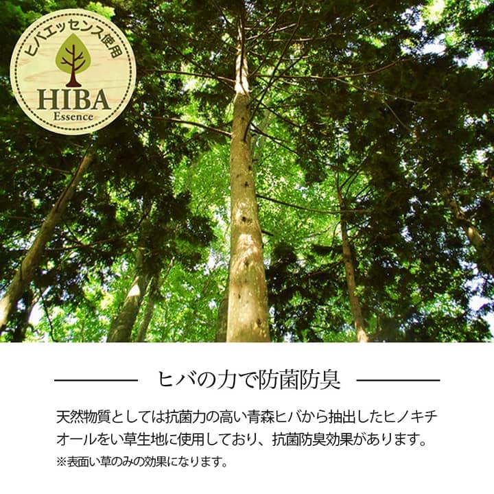 カーペットい草6畳団地間格子柄い草ラグ裏貼り滑り止め夏い草カーペットラグ畳夏用おしゃれ抗菌防臭いぐさサイズ六畳長方形和風花ござラグマットカバー拭けるペットオールシーズン通年涼しい