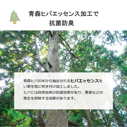 お昼寝マット敷きパッド子供赤ちゃんベビー夏厚手日本製い草お昼寝星柄保育園綿おしゃれひんやり幼児キッズ70×120ごろ寝マット国産ごろ寝冷感子どもピンクブルーいぐさ抗菌防臭さらさら