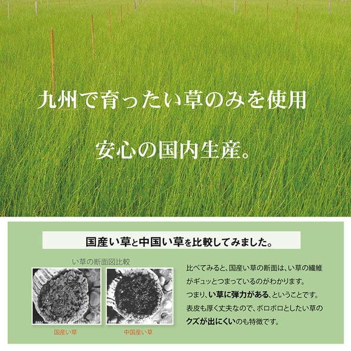 お昼寝マット敷きパッド子供赤ちゃんベビー夏厚手日本製い草お昼寝星柄保育園綿おしゃれひんやり幼児キッズ70×120ごろ寝マット国産ごろ寝冷感子どもピンクブルーいぐさ抗菌防臭さらさら