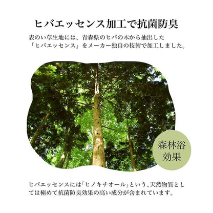 足枕枕むくみクッション足用足置き日本製い草プレゼント母の日父の日ウレタンパイプリラックス高めギフト防臭消臭蒸れない通気性国産男性女性昼寝寝やすい癒しごろ寝い草クッション足