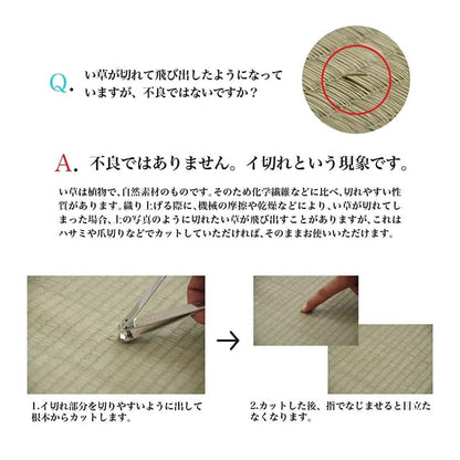 長座布団ごろ寝マットい草厚手夏国産ごろ寝クッション大きいロングマット日本製床置きお昼寝リビングおしゃれ長い6つ折り和風80180寝れるテレビ座布団床に座るリラックス読書厚め寝れる畳