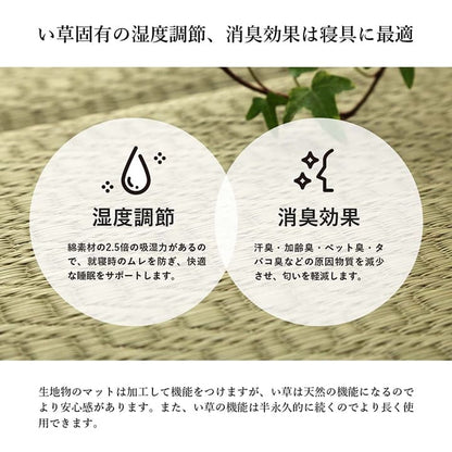 長座布団ごろ寝マットい草厚手夏国産ごろ寝クッション大きいロングマット日本製床置きお昼寝リビングおしゃれ長い6つ折り和風80180寝れるテレビ座布団床に座るリラックス読書厚め寝れる畳