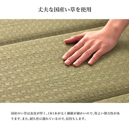 長座布団ごろ寝マットい草厚手夏国産ごろ寝クッション大きいロングマット日本製床置きお昼寝リビングおしゃれ長い6つ折り和風80180寝れるテレビ座布団床に座るリラックス読書厚め寝れる畳