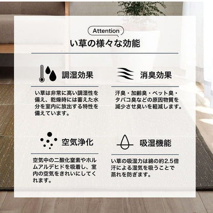 い草ラグカーペットいぐさ2畳裏貼り滑り止めペットい草カーペットラグ夏用い草和畳おしゃれ抗菌防臭夏正方形天然素材グラデーションラグマットカバー拭けるペットオールシーズン通年涼しい