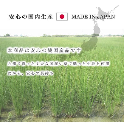 い草カーペットい草ラグ2畳国産本間上敷きい草カーペットラグいぐさ畳夏用日本製おしゃれ抗菌防臭サイズ二畳夏正方形ござ上敷き畳ラグマットカバー拭けるペットオールシーズン通年涼しい