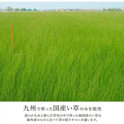 カーペット2畳夏い草ラグ夏用ペット日本製拭ける国産厚手子供天然素材おしゃれ正方形通年オールシーズンいぐさ和風抗菌防臭猫対応薄いひんやり通気性一年中ペット対応子供部屋春
