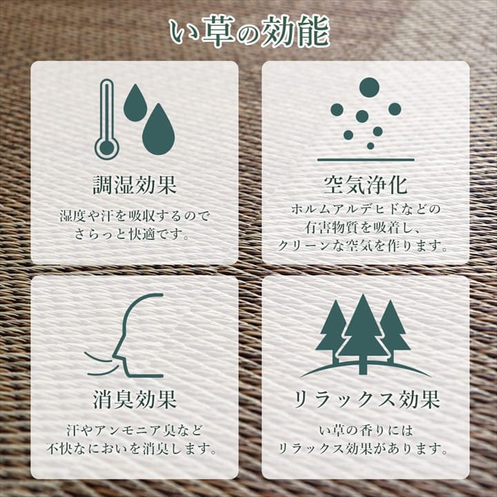 カーペット2畳夏い草ラグ夏用ペット日本製拭ける国産厚手子供天然素材おしゃれ正方形通年オールシーズンいぐさ和風抗菌防臭猫対応薄いひんやり通気性一年中ペット対応子供部屋春
