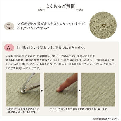 カーペット3畳夏い草ラグ夏用ペット日本製拭ける国産厚手子供天然素材おしゃれ長方形通年オールシーズンいぐさ和風抗菌防臭猫対応薄いひんやり通気性一年中ペット対応子供部屋春