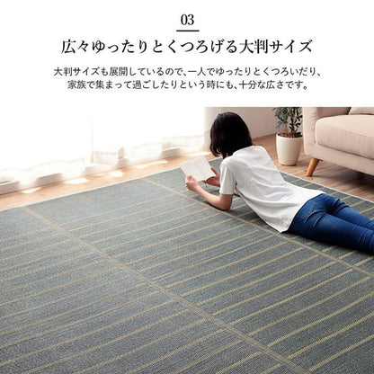 い草ラグカーペットいぐさ3畳裏貼り滑り止めペットい草カーペットラグ夏用い草和畳おしゃれ抗菌防臭夏長方形天然素材ボーダーござラグマットカバー拭けるペットオールシーズン通年涼しい