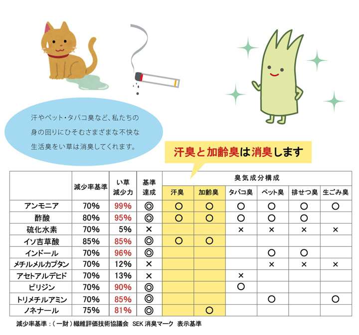 玄関マット室内60×90おしゃれ北欧夏用大きめモダン風水高級薄型6090屋内マットエントランスマット