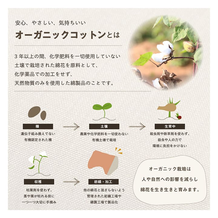 クッション背もたれ寄りかかりごろ寝腰当てクッション背当て枕厚手日本製大きい背中あて枕代わりリラックスソファスマホうつ伏せおしゃれかわいい読書パソコンお昼寝寝れるソファー本リビング寝