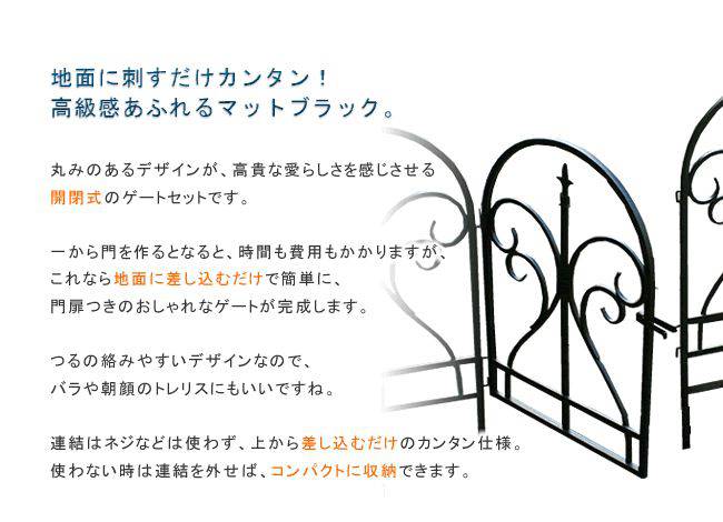 アイアン