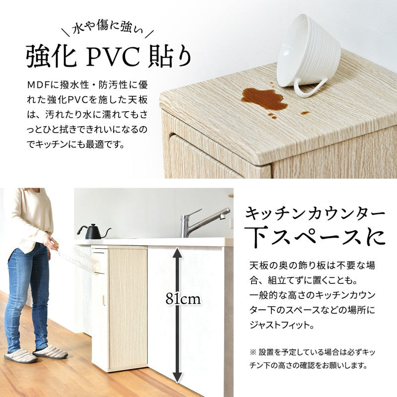 トラッシュボックスハイタイプW250×D325×H845mmごみ箱キャスター付きおしゃれゴミ袋取り換え簡単ゴミ入れキャスター付きおしゃれプッシュ式蓋付きゴミ箱ごみ箱ごみばこふた付きゴミ箱フタ付きゴミ箱蓋付きゴミ箱