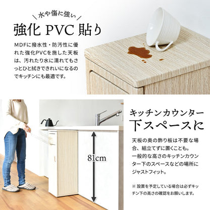 トラッシュボックスハイタイプW250×D325×H845mmごみ箱キャスター付きおしゃれゴミ袋取り換え簡単ゴミ入れキャスター付きおしゃれプッシュ式蓋付きゴミ箱ごみ箱ごみばこふた付きゴミ箱フタ付きゴミ箱蓋付きゴミ箱