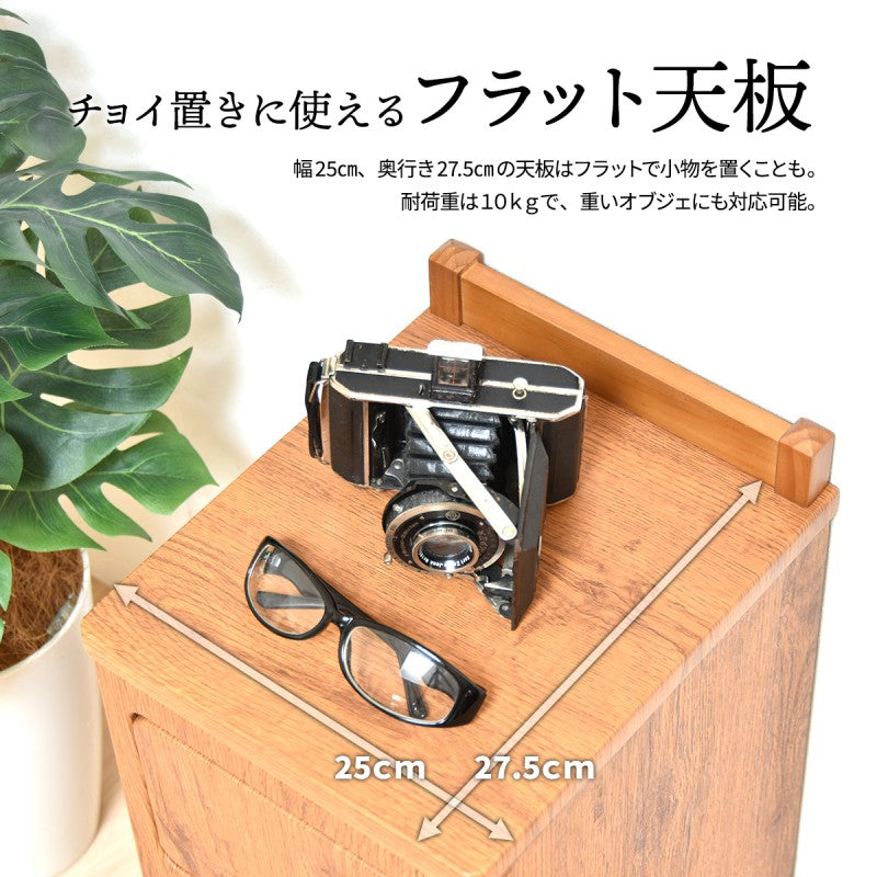 トラッシュボックスハイタイプW250×D325×H845mmごみ箱キャスター付きおしゃれゴミ袋取り換え簡単ゴミ入れキャスター付きおしゃれプッシュ式蓋付きゴミ箱ごみ箱ごみばこふた付きゴミ箱フタ付きゴミ箱蓋付きゴミ箱