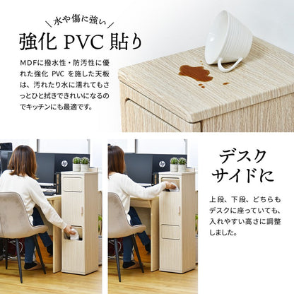 トラッシュボックスツインタイプW250×D325×H995mmごみ箱キャスター付きおしゃれゴミ袋取り換え簡単ゴミ入れキャスター付きおしゃれプッシュ式蓋付きゴミ箱ごみ箱ごみばこふた付きゴミ箱フタ付きゴミ箱蓋付きゴミ箱