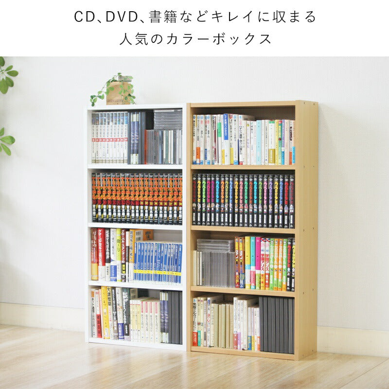 本棚本棚