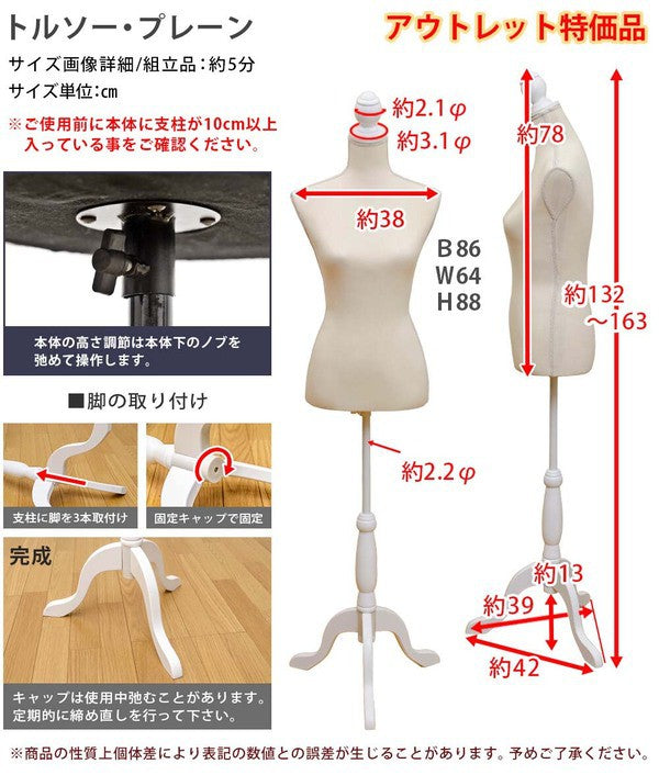 トルソーマネキン