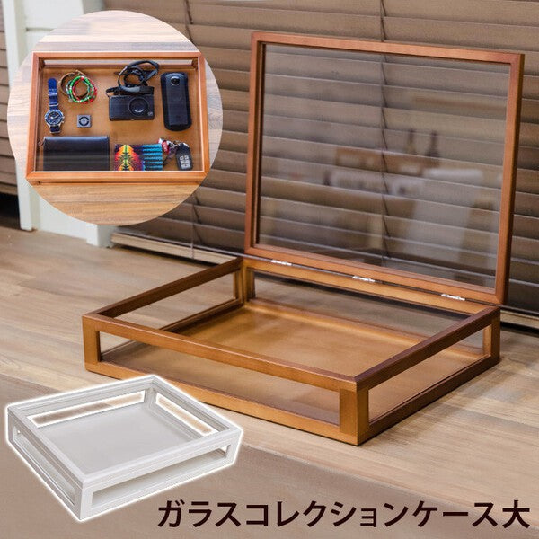 コレクションケースコレクションボックス