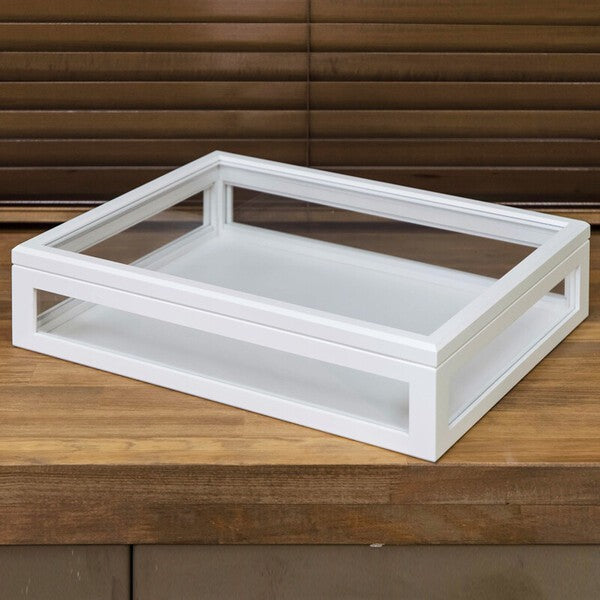 コレクションケースコレクションボックス