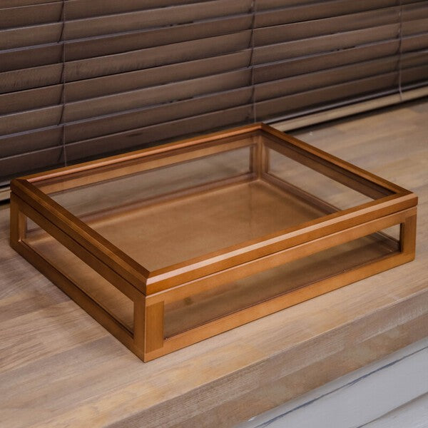 コレクションケースコレクションボックス