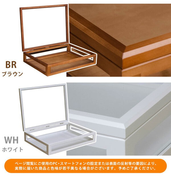 コレクションケースコレクションボックス