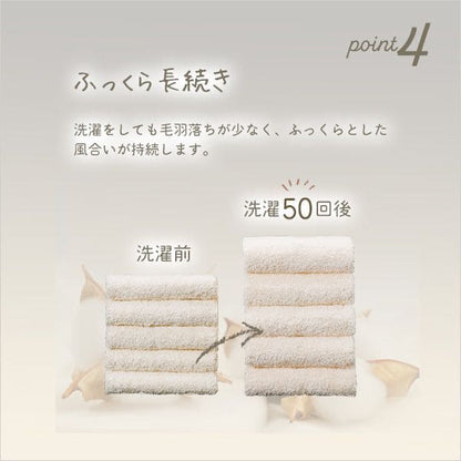 100×34cm